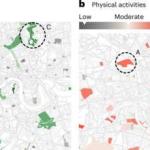 研究：全球多地市中心与郊区公园质量差距显著，或影响居民福祉