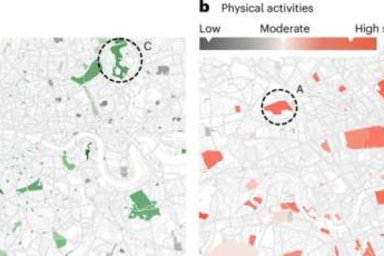 研究：全球多地市中心与郊区公园质量差距显著，或影响居民福祉