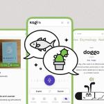 Kagi 推出注重隐私的移动翻译应用