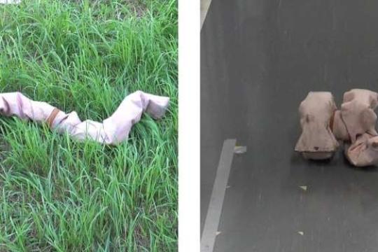 AI赋能蛇形机器人实现高效滚动，单位功率速度提升一倍