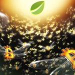 Bitfinex比特币保证金多头升至两年高位 期货套利令信号偏中性