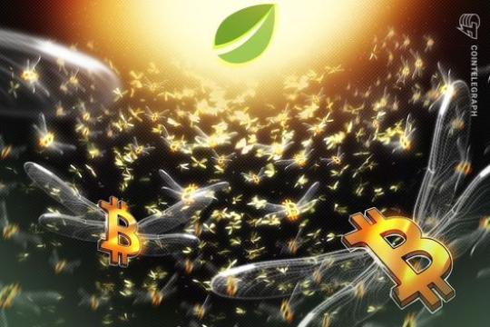 Bitfinex比特币保证金多头升至两年高位 期货套利令信号偏中性