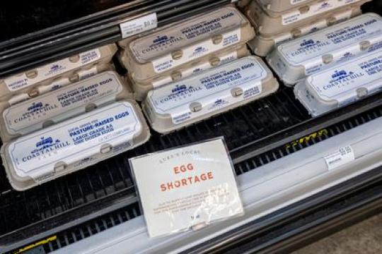 鸡蛋价格飙升——4种高蛋白早餐替代选择