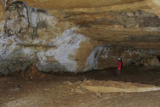 西班牙北部洞穴圣地揭示逾1.15万年连续人类活动