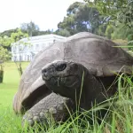 冒充兽医的X账号散布“乔纳森死亡”假消息并索要加密货币捐款，多家媒体一度误报