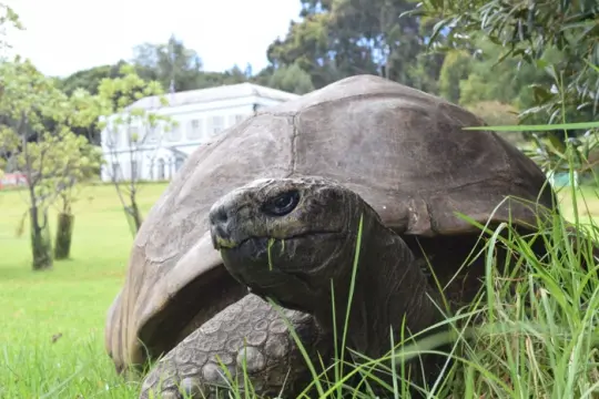 冒充兽医的X账号散布“乔纳森死亡”假消息并索要加密货币捐款，多家媒体一度误报