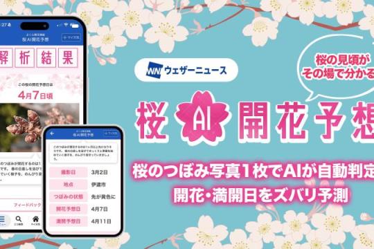 拍一张樱花花蕾照，就能算出开花日与满开日：Weathernews 推出「樱花AI开花预报」