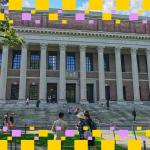 哈佛基金会减持比特币并增持以太坊ETF，分析称或出于波动与流动性管理