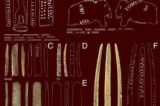 研究称距今约4万年前欧洲早期人类已使用约定俗成几何符号系统