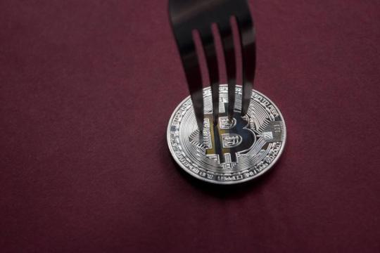 战争期间比特币交易分化：机构买盘支撑价格，鲸鱼与矿工等转向卖出