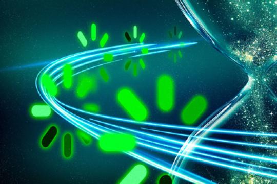 新方法有望提升大型语言模型训练效率