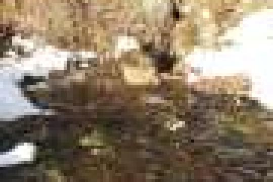 问答：费城为何频现天坑