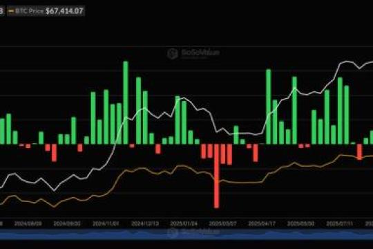 美国现货比特币ETF三日净流入11亿美元，创六周以来最大单周增量